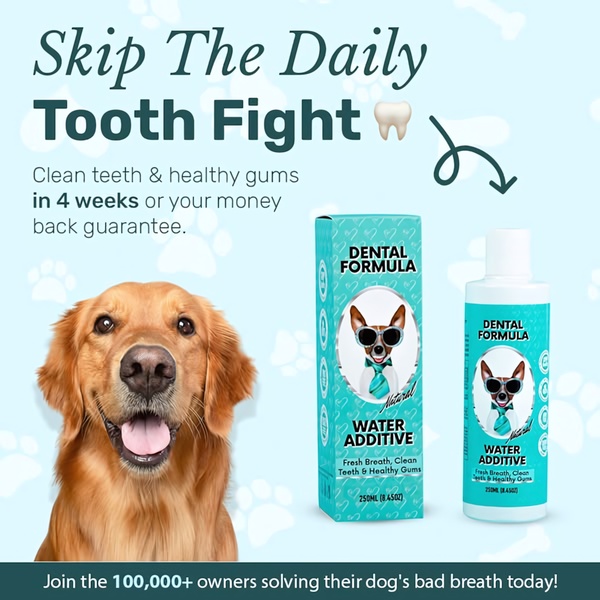 A clean, benefits-driven ad featuring a friendly dog, the product packaging, and a clear call-to-action regarding daily dental health.